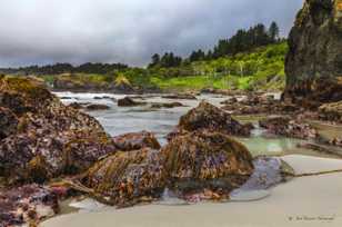 Moonstone Beach-3643.jpg Moonstone Beach-3643.jpg